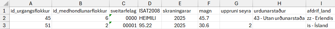 Dæmi um skilaskrá með tveimur gagnalínum